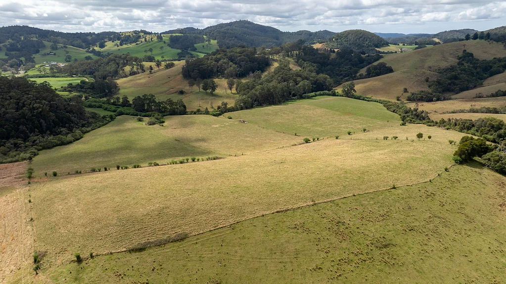 1100 Coramba Road, Megan, NSW 2453