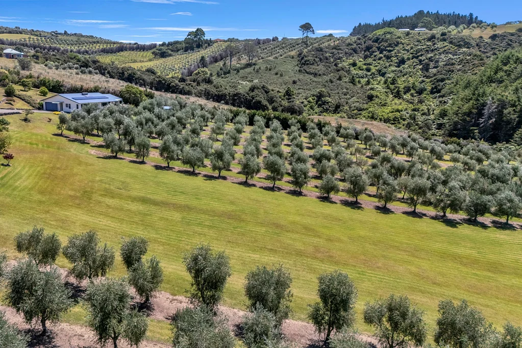 Mangonui 4Kwarto Price Drop - Well Below Rateable Value!