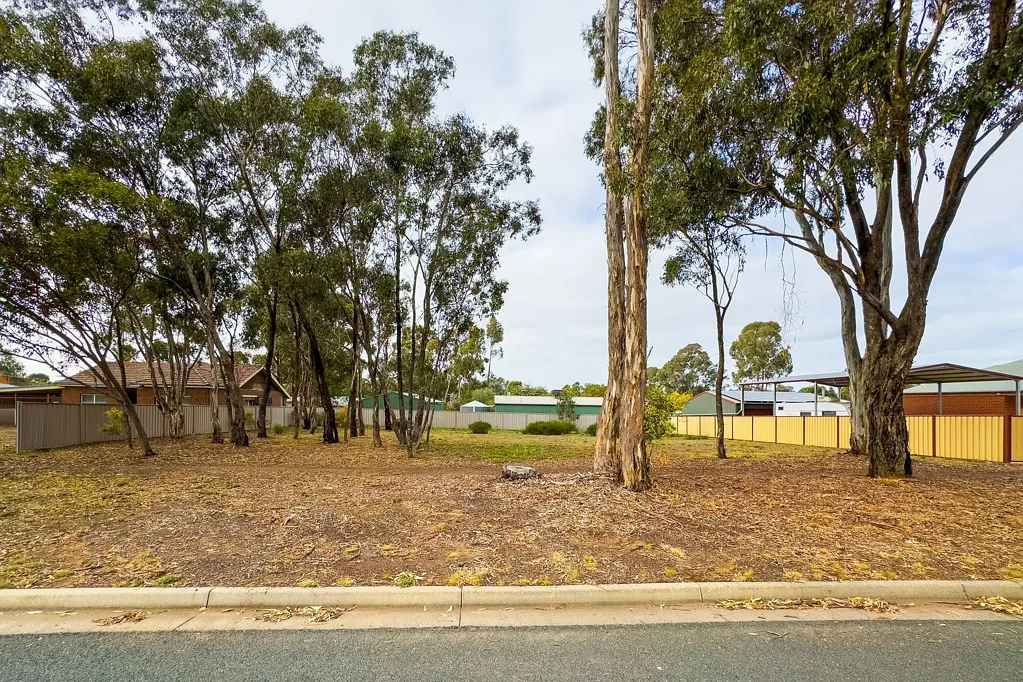 133 St Killian Street, White Hills, VIC 3550