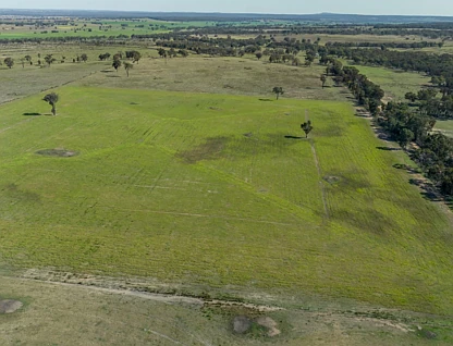 "Bullarook" 188 Bullarook Road, Coolah, North West, 0 rūma, 0 rūma horoi, Lifestyle Property