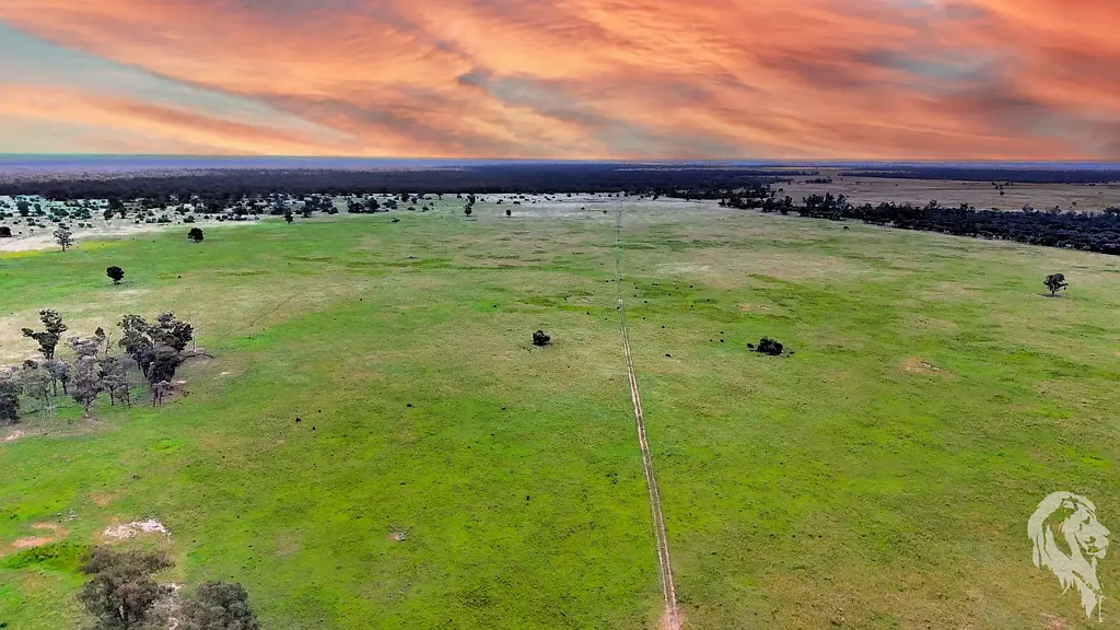 1857 Stumpy Lane, Wee Waa, NSW 2388