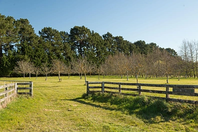 417 Upper Plain Road, Masterton, Wairarapa, 0 침실, 0 욕실, Lifestyle Section