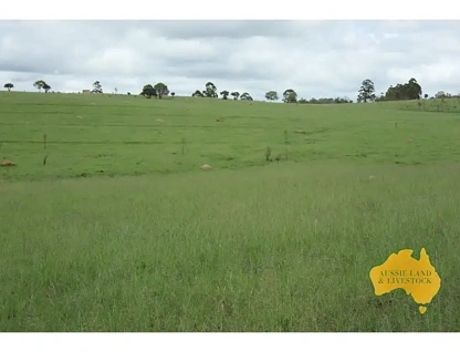 1377 Dangore Mountain Road, Dangore, Wide Bay, 4 ਕਮਰੇ, 1 ਬਾਥਰੂਮ, Lifestyle Property