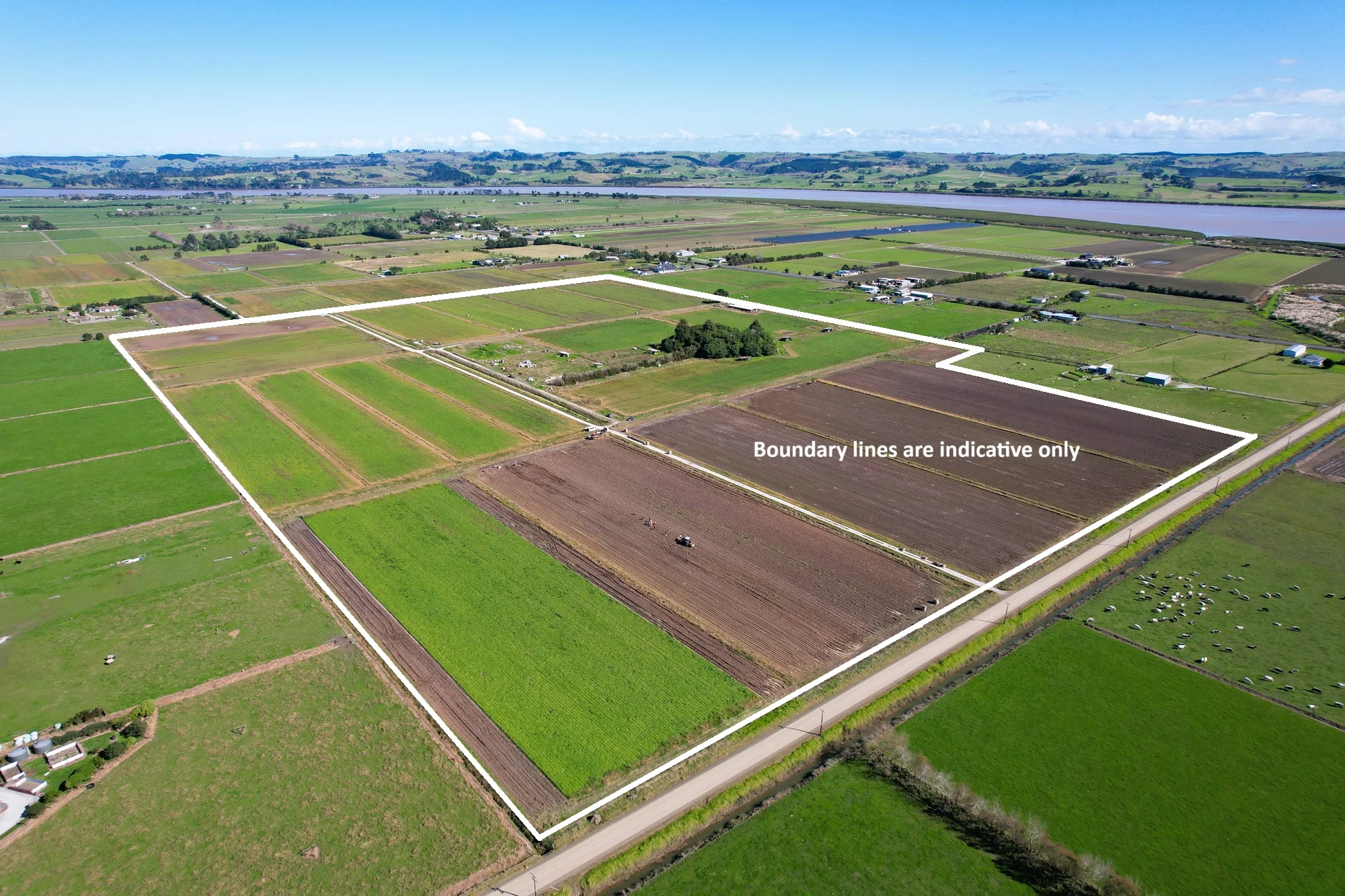Tramline Road, Ruawai, Kaipara, Northland, 0 Bedrooms, 0 Bathrooms, Horticulture