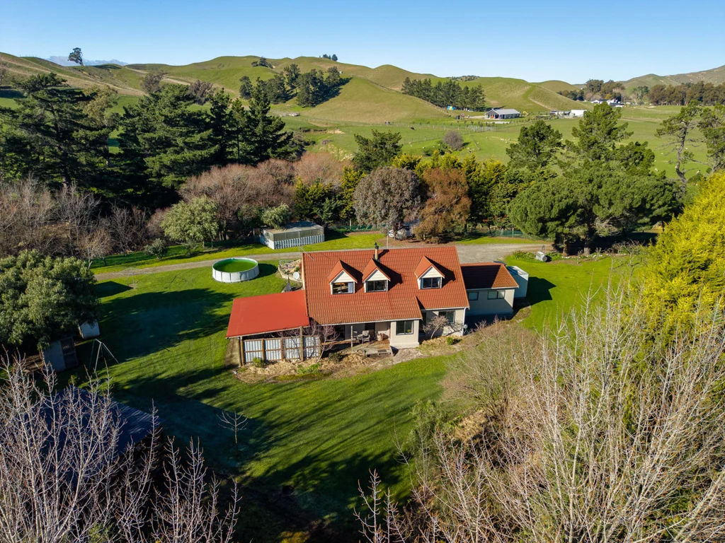 Seddon  Living the Country Dream - 9.9107ha