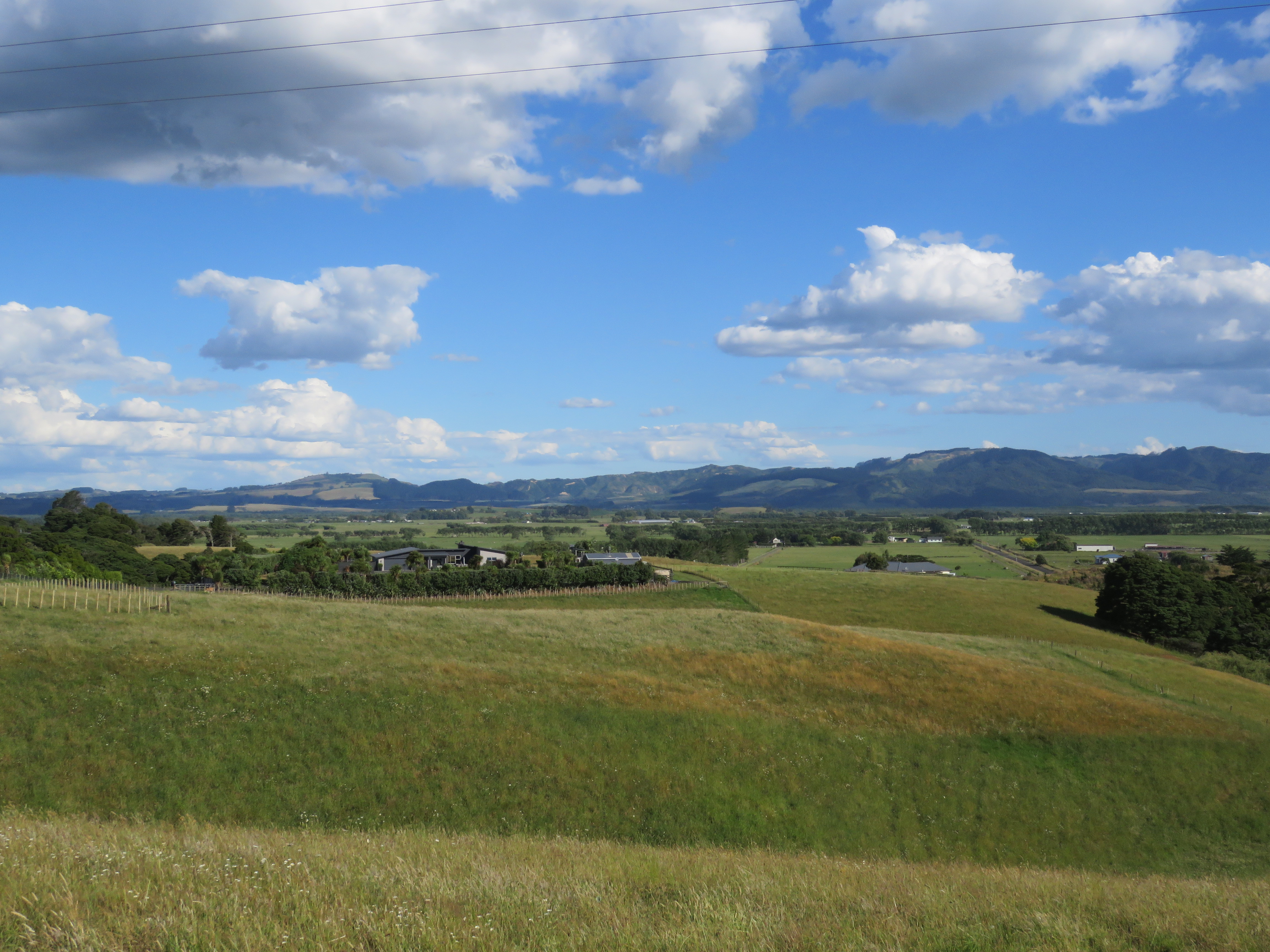 9 Lewis Road, Otaua, Waikato, 4 chambres, 0 salles de bain