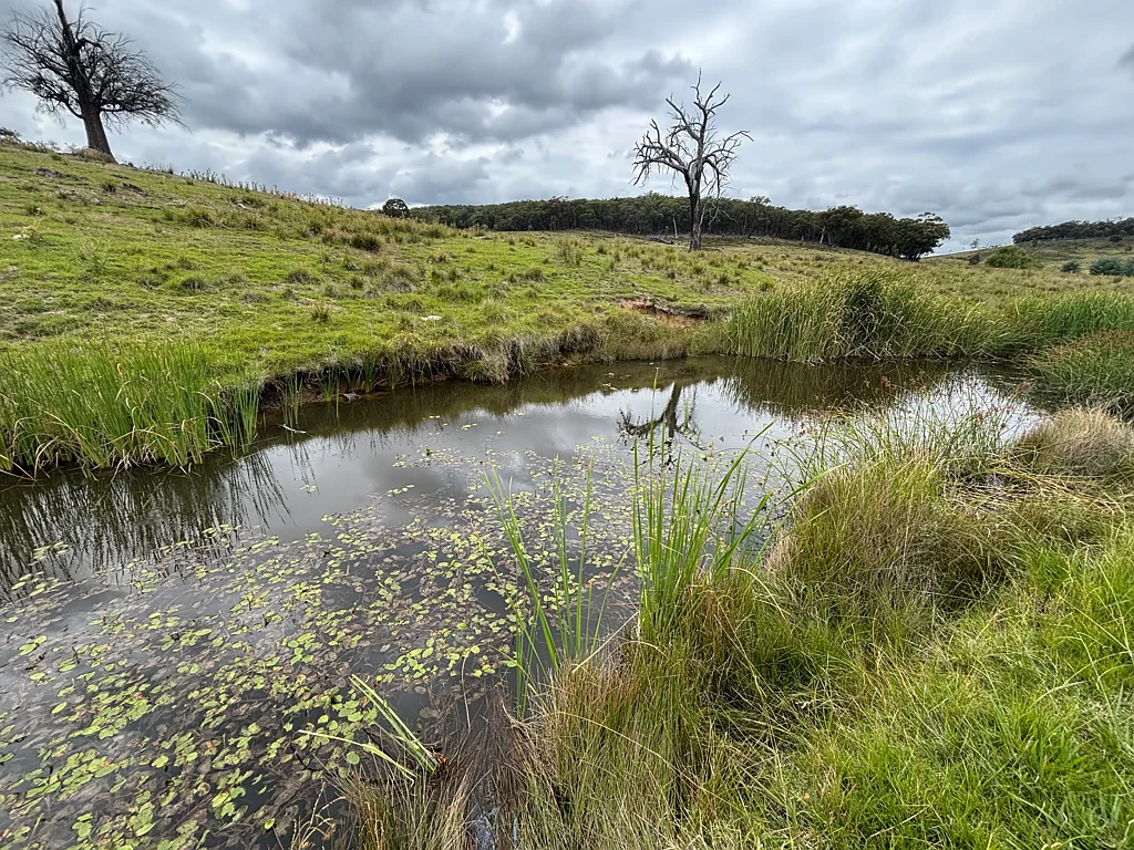 Mudgee SECLUDED LIFESTYLE FARM