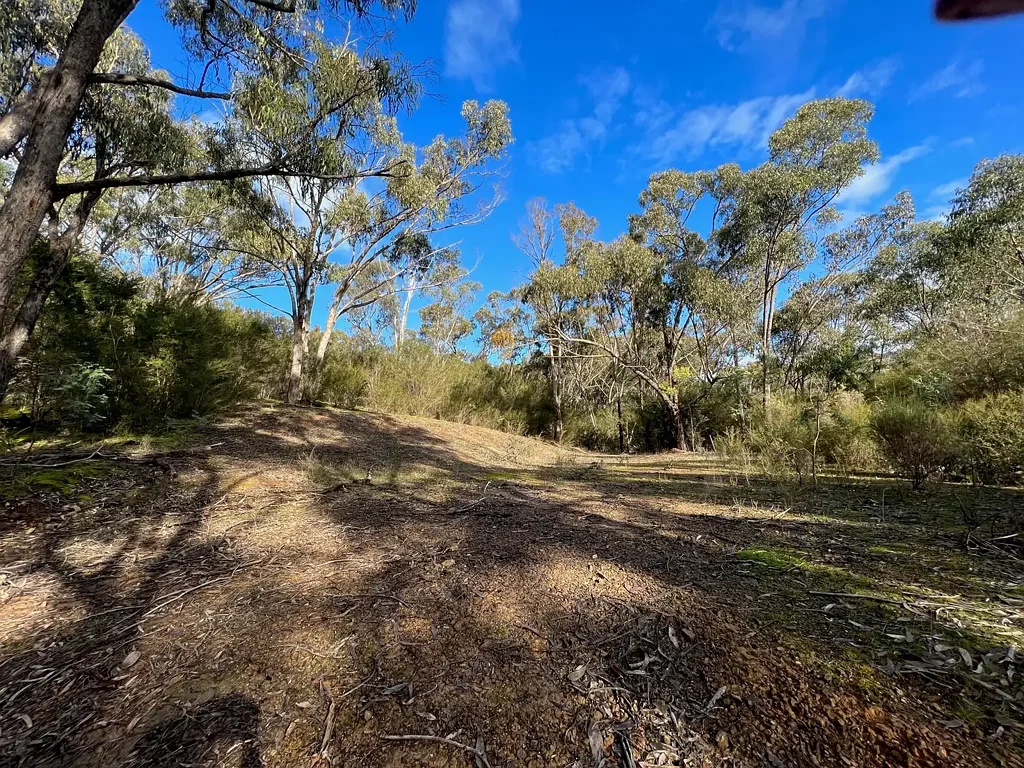 Taylor Bay  PRICE ADJUSTMENT - VENDORS MOTIVATED TO SELL                                           Bush Hideaway at Lake Eildon!
