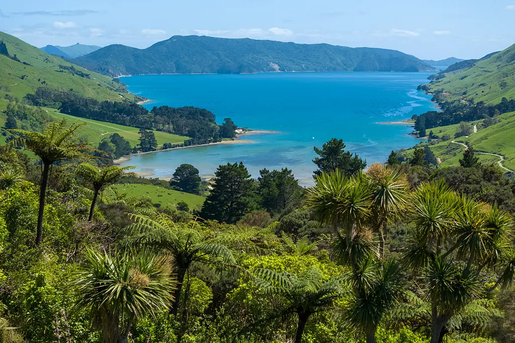 Marlborough Sounds 3غرفة نوم Anakoha - Your Stepping Stone to Adventure