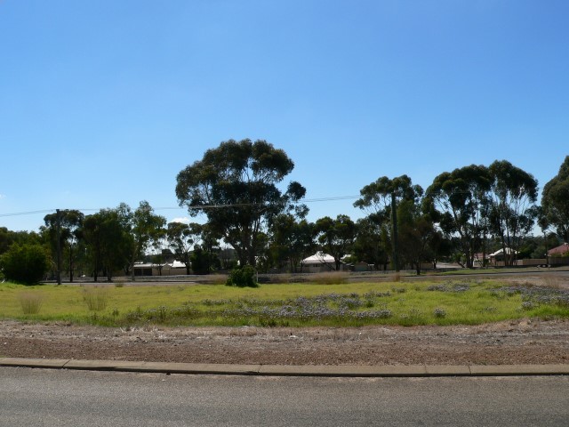 27 HASSELL ST, KATANNING WA 6317, 0 침실, 0 욕실, Section