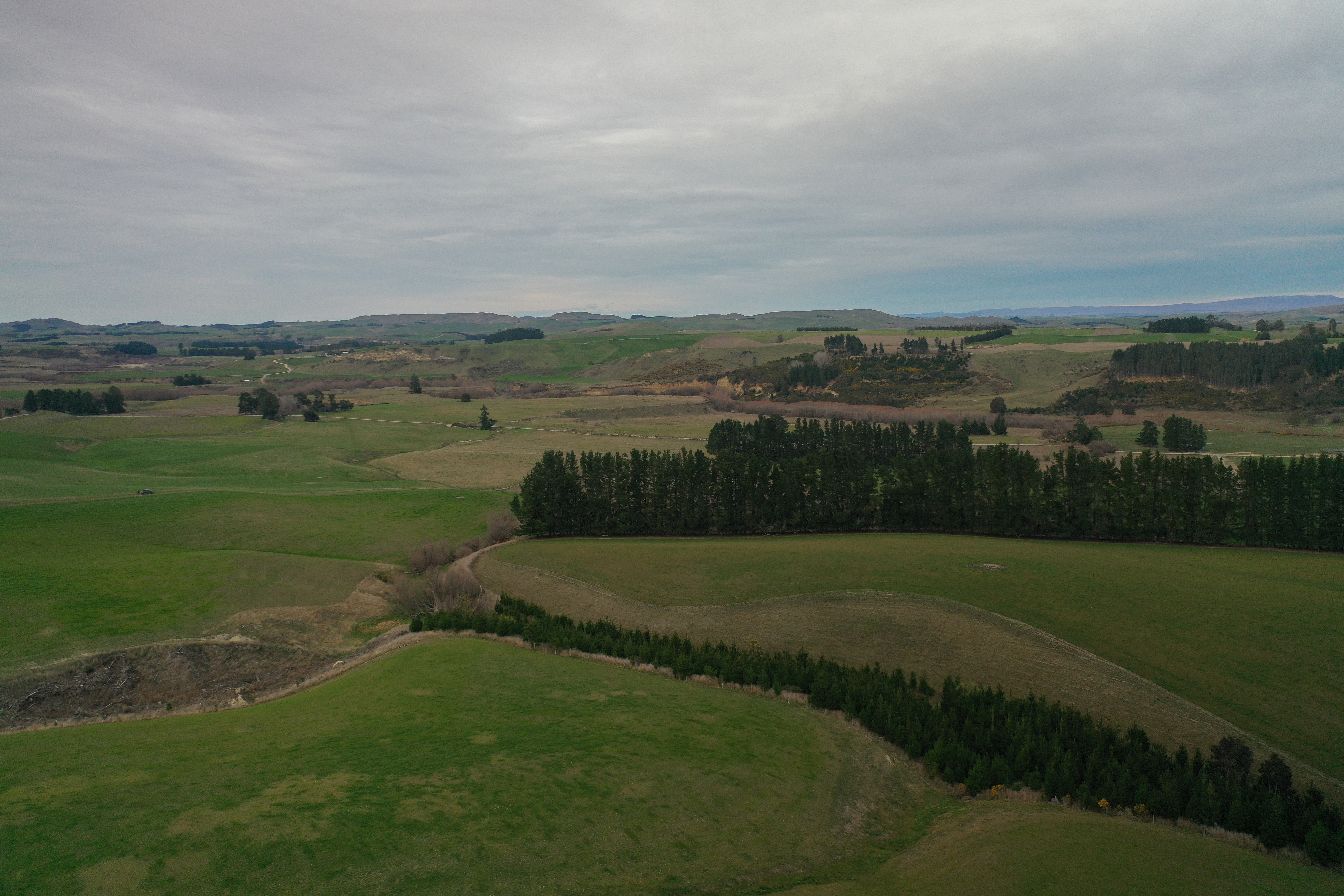 158 Kowhatu Road, Waihaorunga, Waimate, 0部屋, 0バスルーム, Dairy