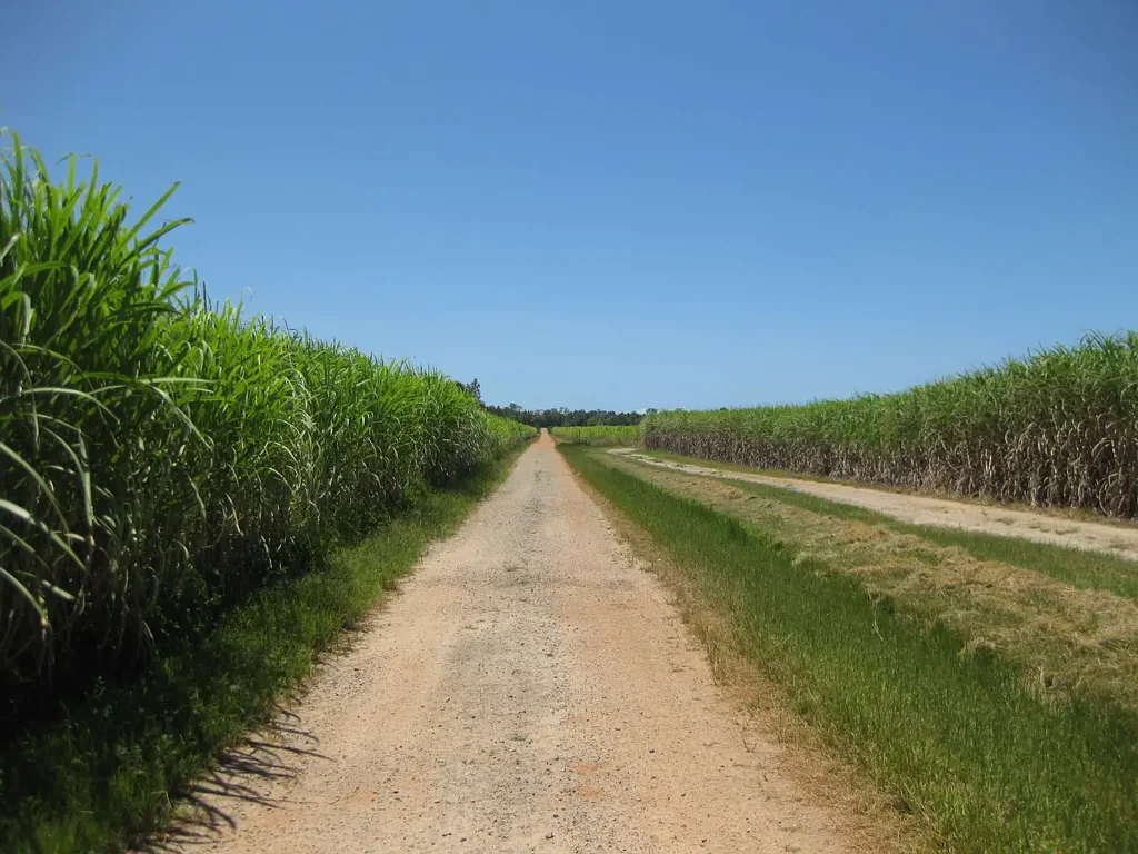 Address Withheld, Bilyana, QLD 4854