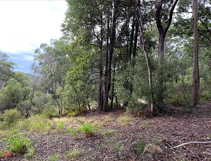 850 Kingfisher Heights Drive, K'Gari, Rest of QLD, 0 ਕਮਰੇ, 0 ਬਾਥਰੂਮ, Section