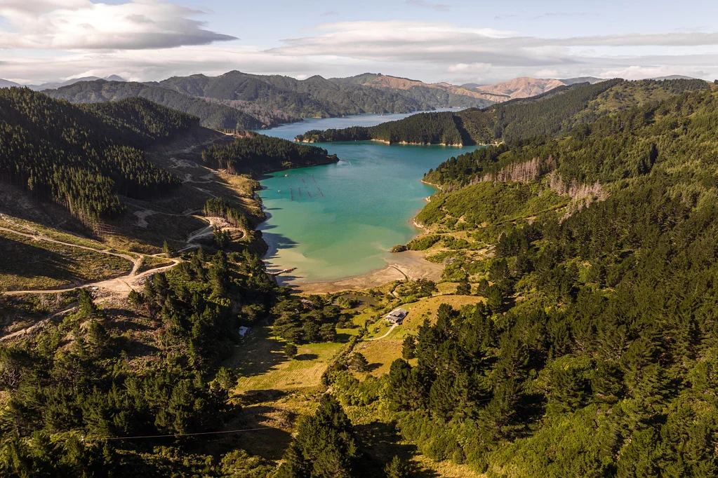 Marlborough Sounds 5Kwarto The World is Your Oyster "Bay"