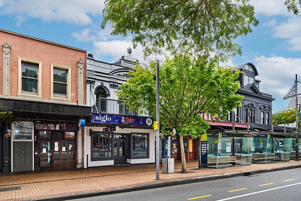 Te Aro  Courtenay Place Hospitality Opportunity