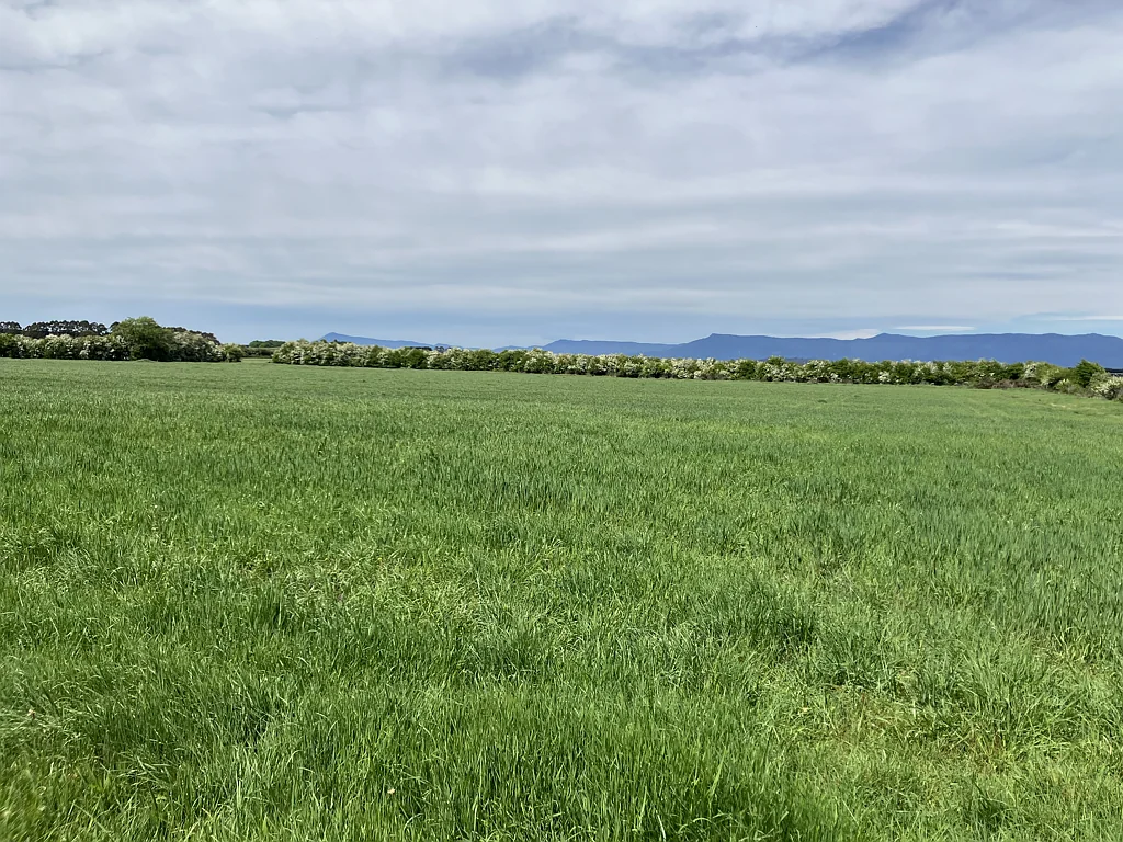 849 Oaks Road, Carrick, TAS 7291