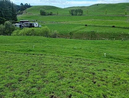 3345A Weber Road, Dannevirke, Tararua, Manawatu, 0房, 1浴, Lifestyle Section