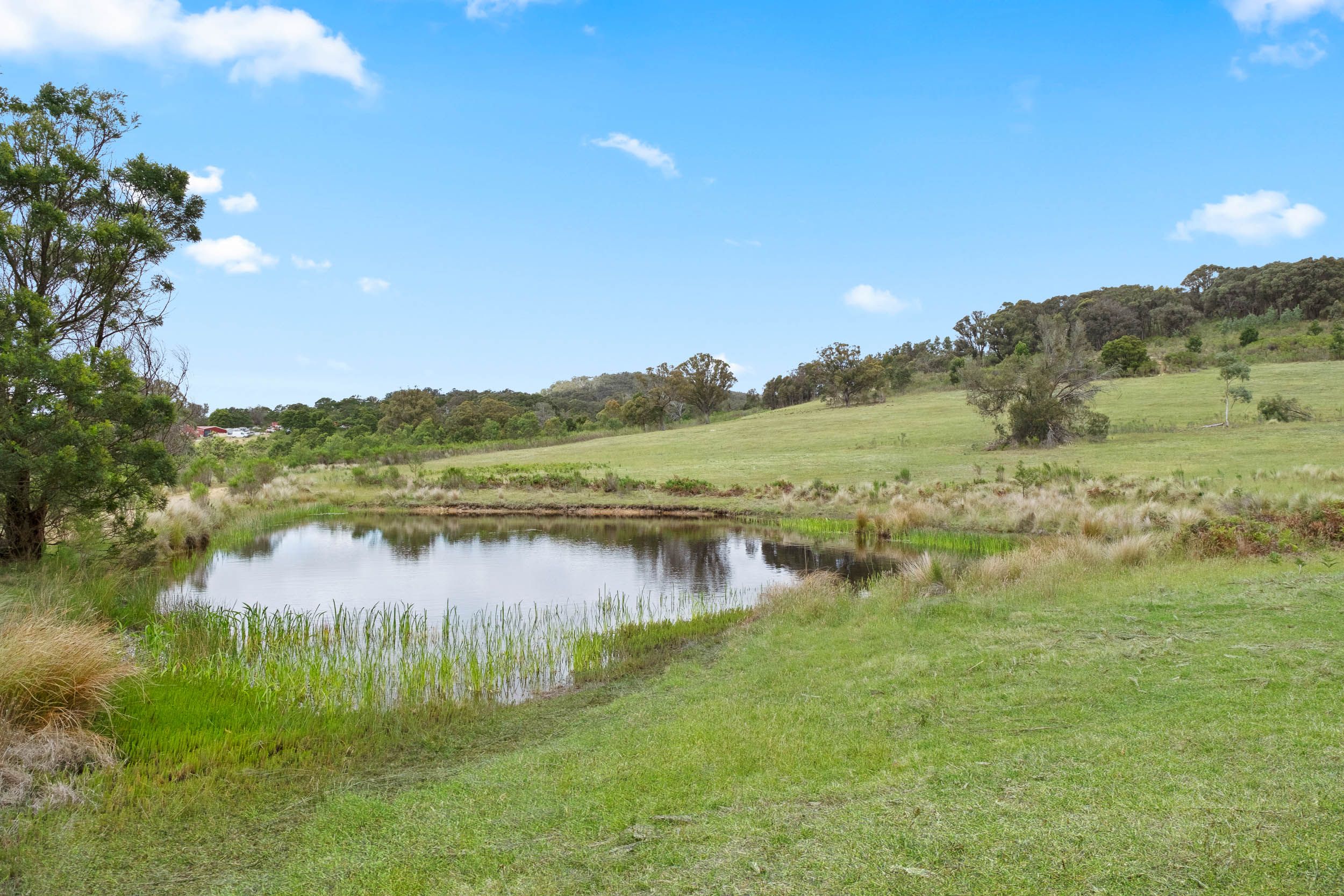 259 COVAN CREEK RD, LAKE BATHURST NSW 2580, 0房, 0浴, Lifestyle Property