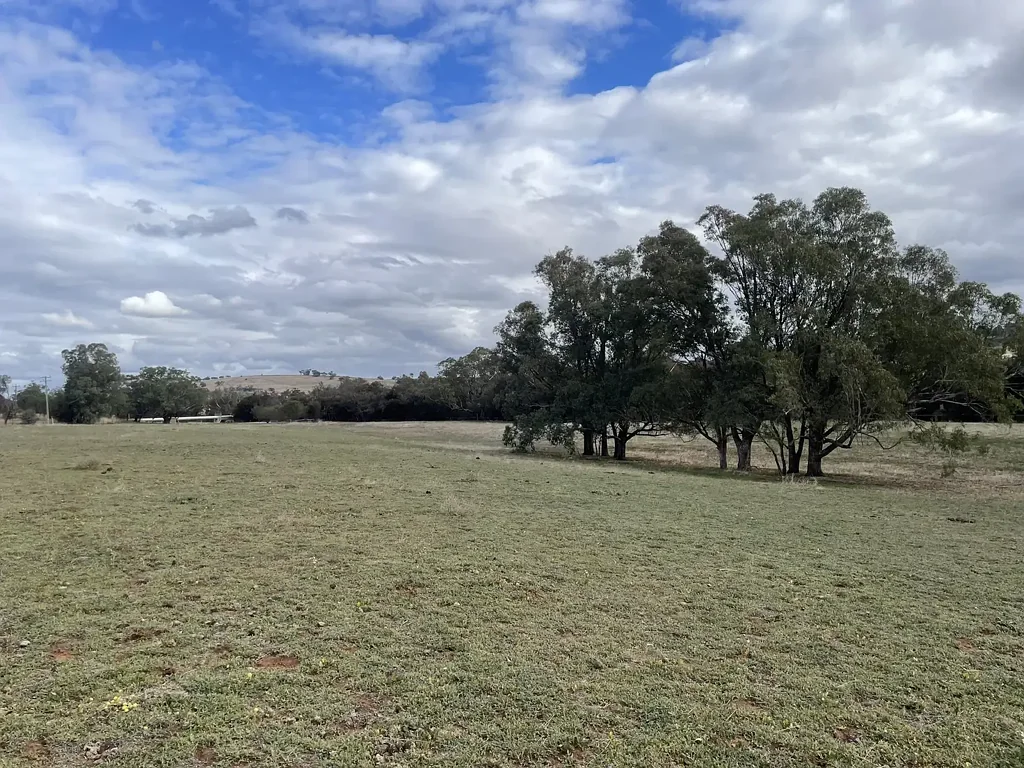 Northam Beautiful Parcel of Land!