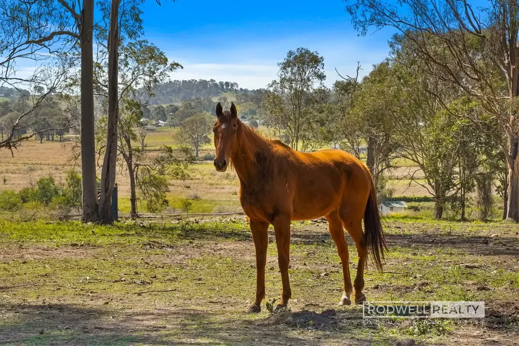 Gleneagle 3房  Knock Me Down it's 5.2 Acres!