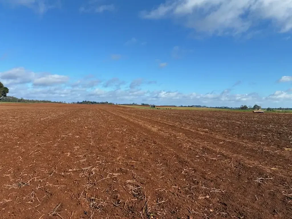 Natone Choice 272 Acres
