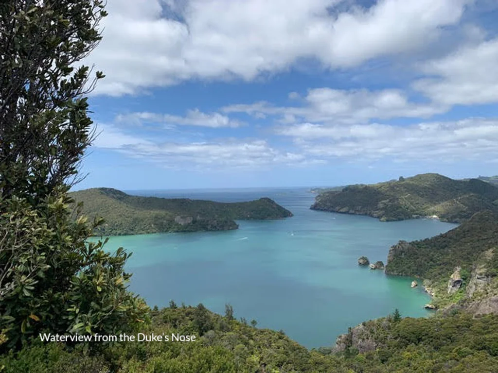 Taupo Bay/Totara North 7chambre BEAT THE BANK!