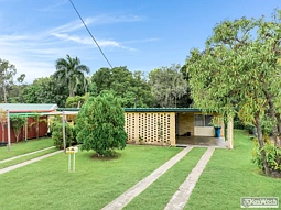 187 SHEARMAN AVENUE, Berserker