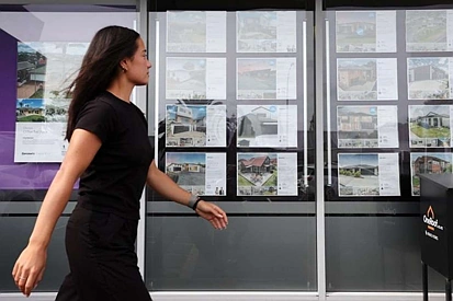 经济回暖，买家疯狂进场！新西兰房市拐点确认？