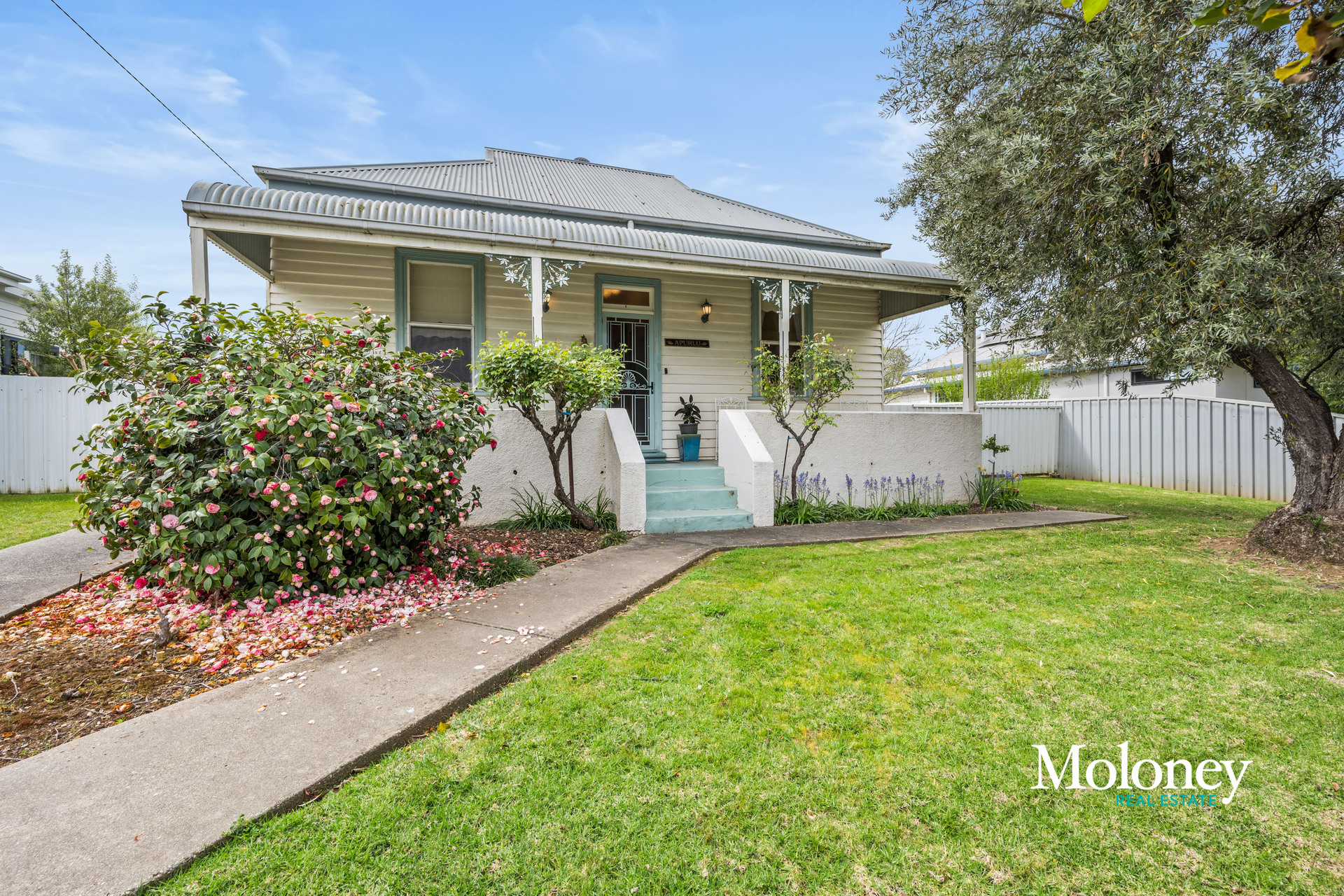 18 BIRDWOOD ST, COROWA NSW 2646, 0 Schlafzimmer, 0 Badezimmer, House