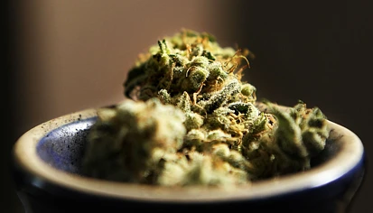 大麻合法化民意调查：大部分人不同意