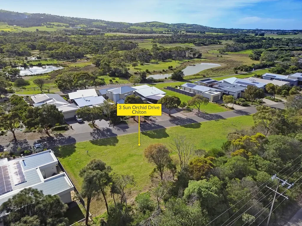 Chiton  Picture-perfect! Large block with a grand frontage