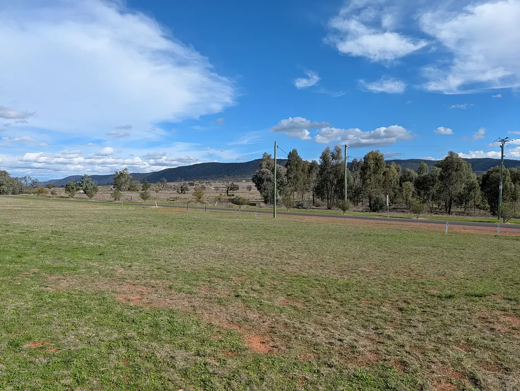 Bingara Looking To Build?