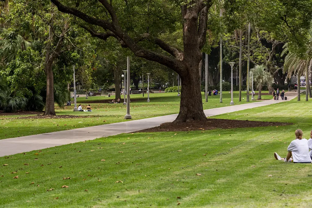 Sydney 1غرفة نوم Positioned for Performance | The Castlereagh Advantage