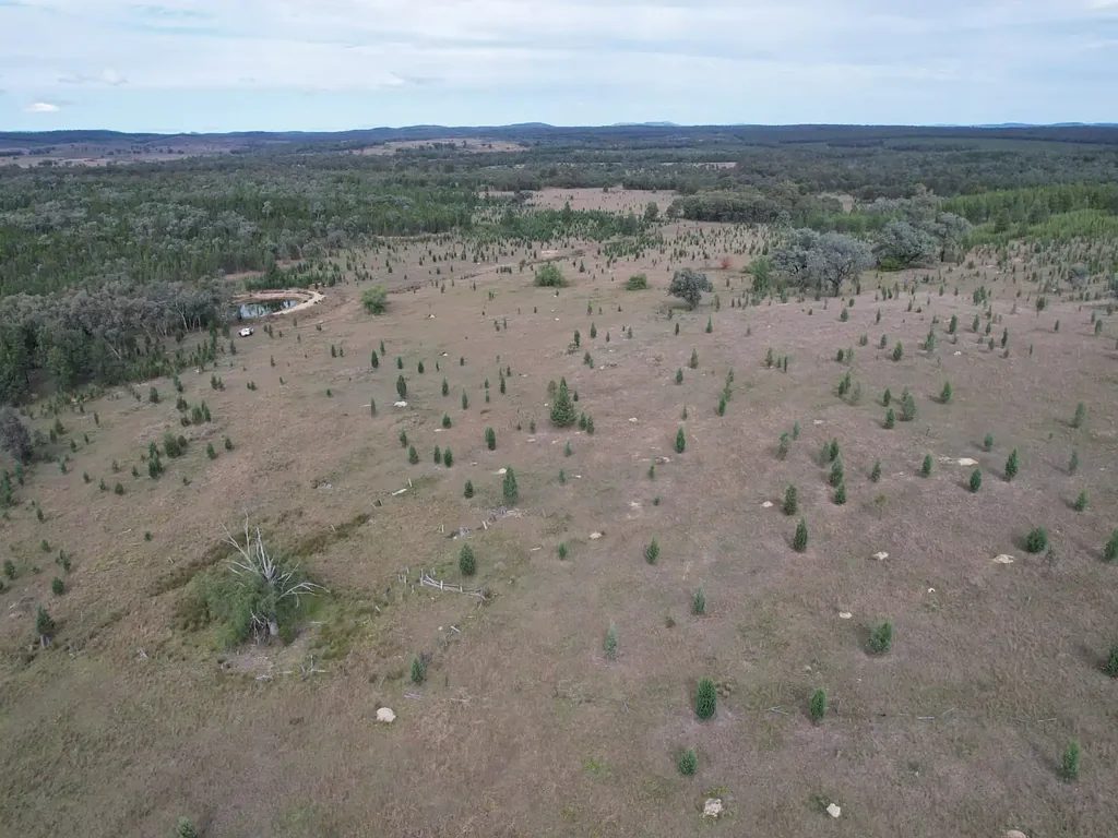 Inglewood  "Ryslip" 2,292 Acres of untouched bushland in the Southern Downs