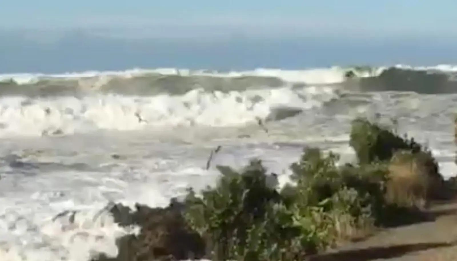 惠灵顿海岸惊现巨浪,1人卷入海中,多户家庭疏散!