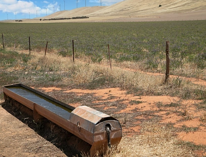 'The Bluff Range' Browns Road, Hallett, Barossa - Yorke - Mid North, 0房, 0浴, Lifestyle Property