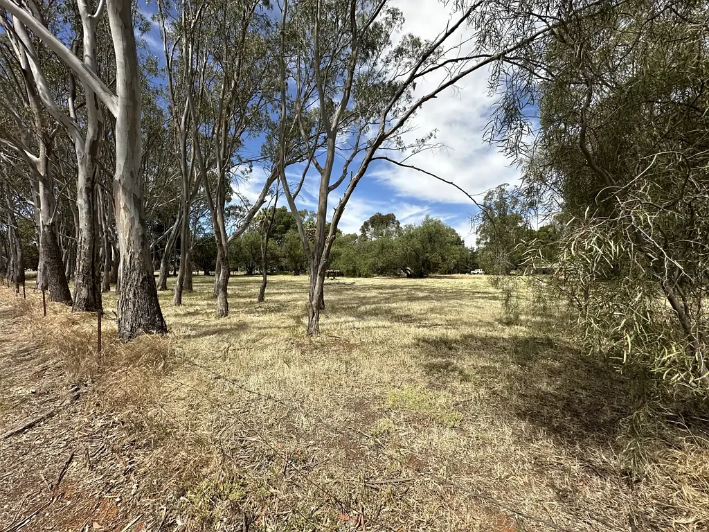 8 Browne Street, Caltowie, SA 5490