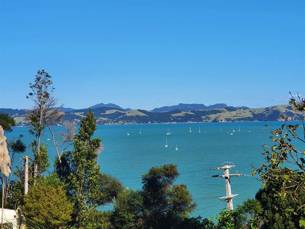 Coromandel Burnt Dreams - Your Opportunity