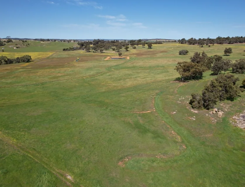 2367 York-Williams Road, Beverley, Wheat Belt, 0房, 0浴, Lifestyle Property