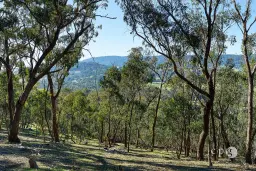 376 Specimen Gully Road, Barkers Creek