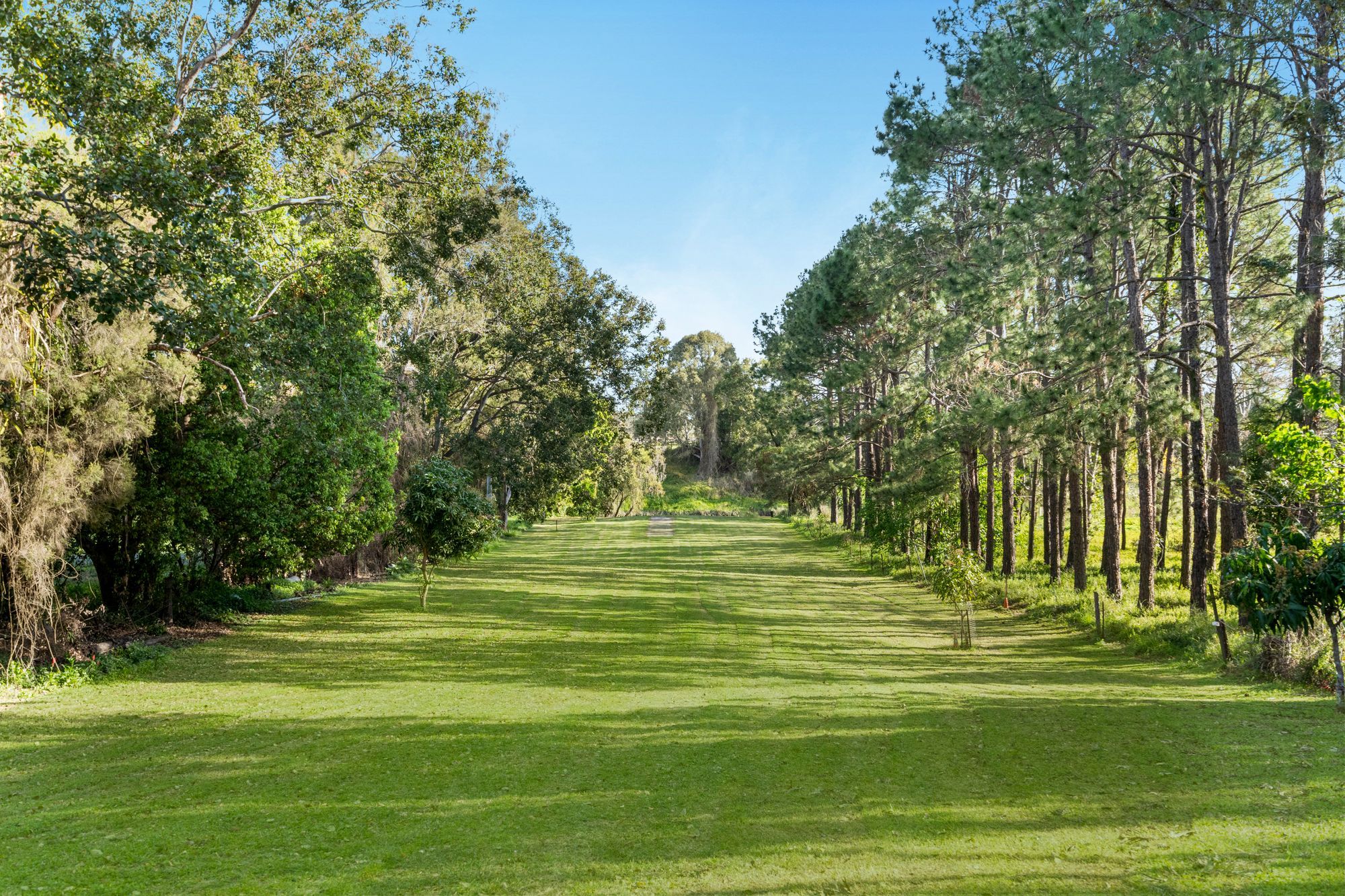 103 TYGUM RD, WATERFORD WEST QLD 4133, 0 Kuwarto, 0 Banyo, House