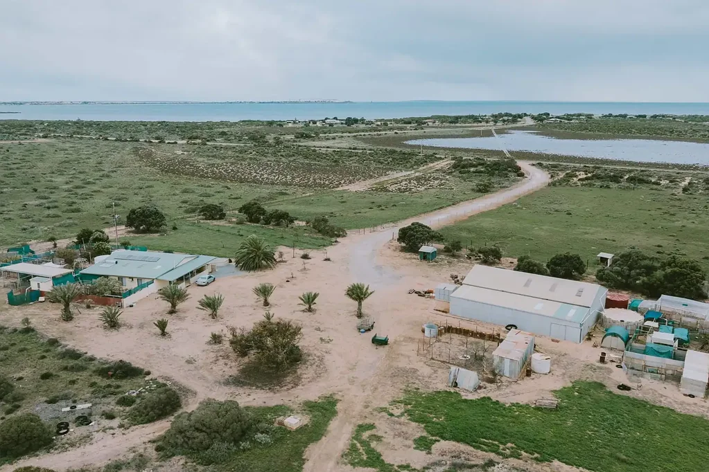 Ceduna 3غرفة نوم Bay Views, Big Skies & 23 Acres of Lifestyle Living