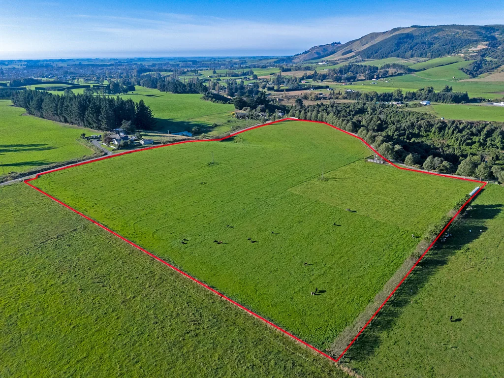 Waimate Big dreams start here!