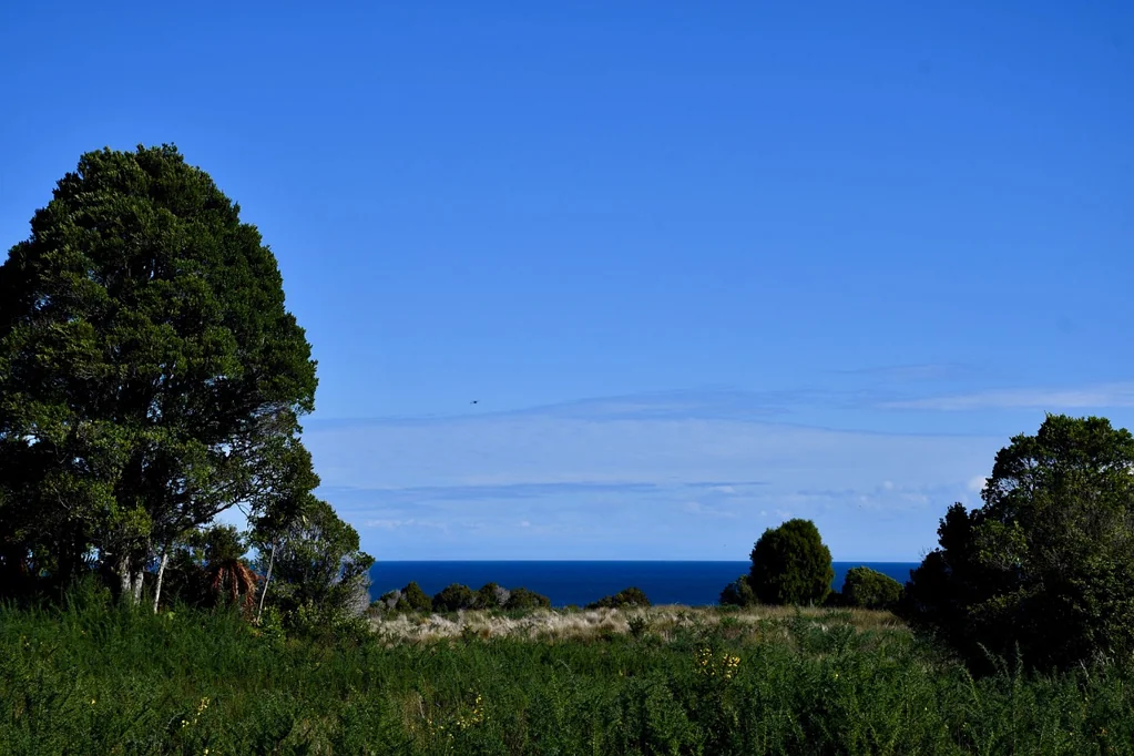 Karamea Blank canvas