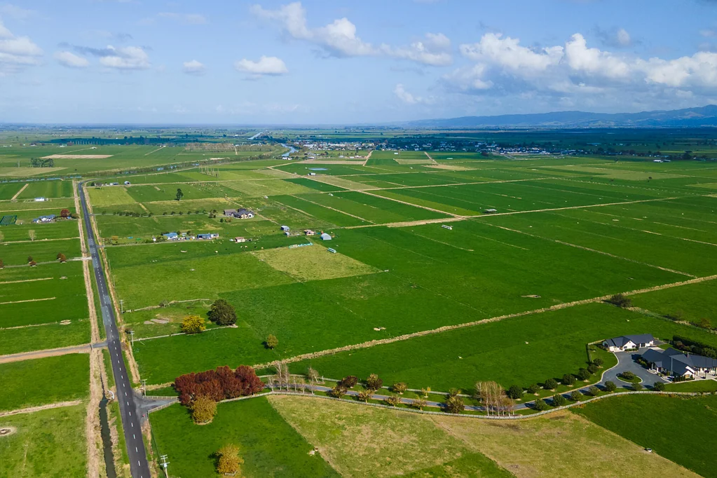Ngatea  Build, Graze or Landbank.
