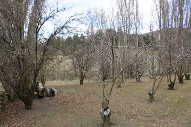 Hall Road, Bannockburn, Otago, 0 Schlafzimmer, 1 Badezimmer