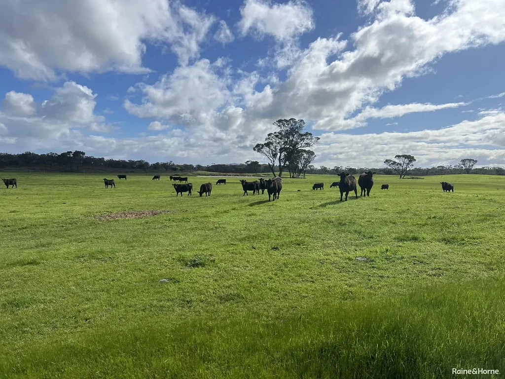 Palmdale Premium Agricultural Holding