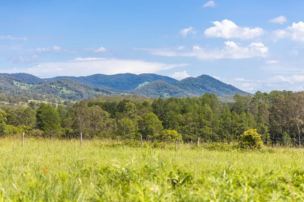 30 Wynters Road, Burrell Creek, NSW 2429