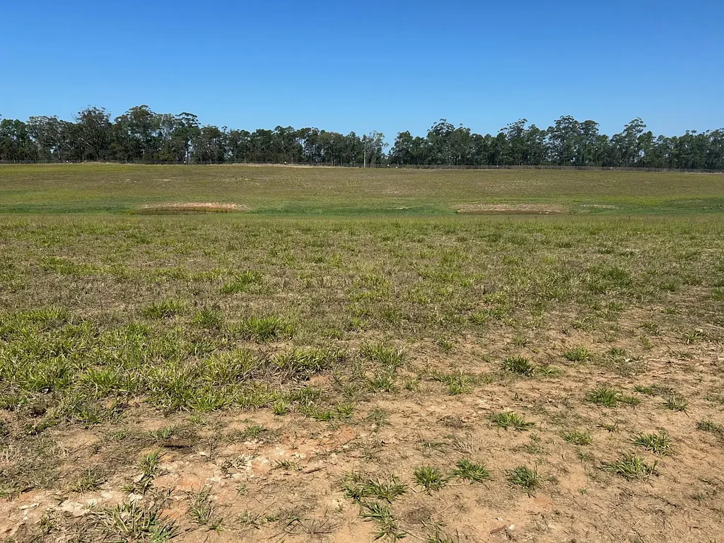 D'Aguilar BE SELF SUFFICENT