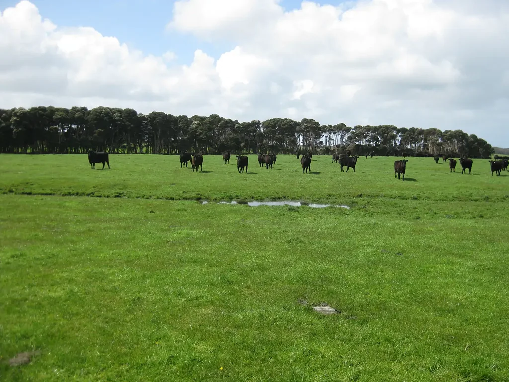 . Tin Mine Road, Loorana, TAS 7256